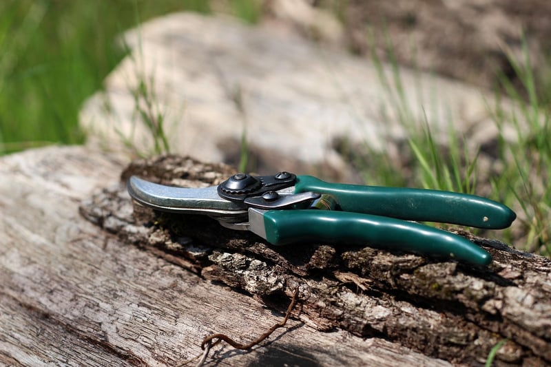 Fairy Pruning Shears
